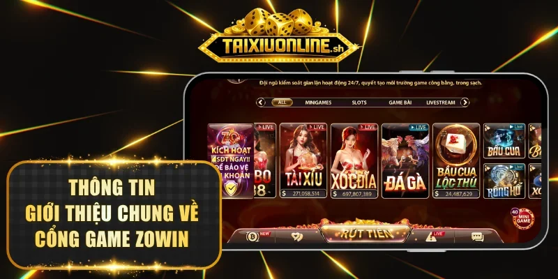 Thông tin giới thiệu chung về cổng game ZOWIN